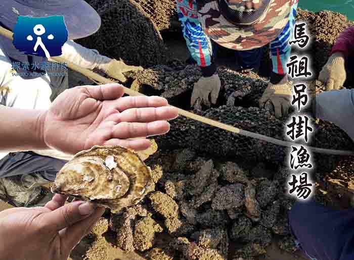 深層海水生蠔3L/10顆(契作區域-馬祖)